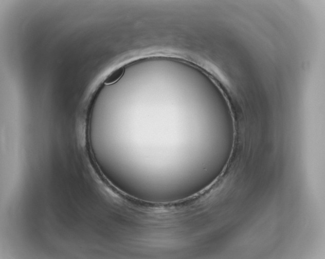 X0000111891504200907301147