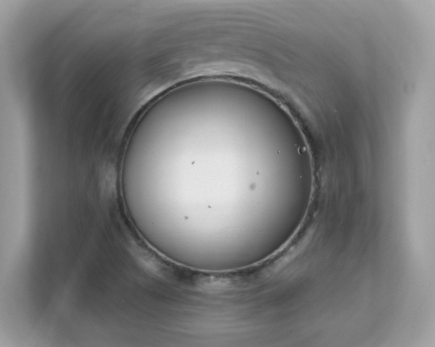 X0000111891505200907301147