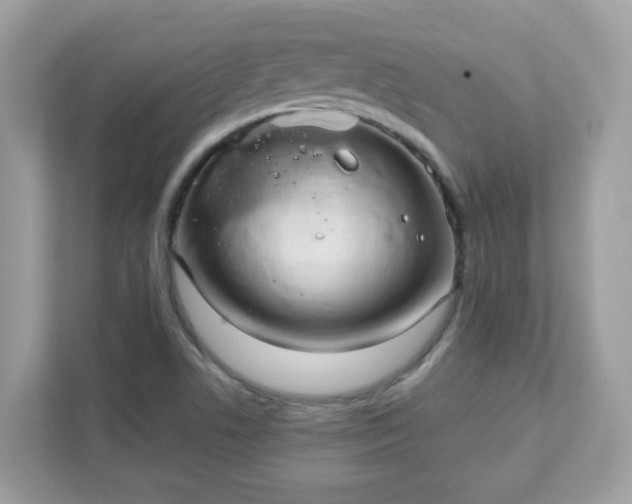 X0000111891506200907301147