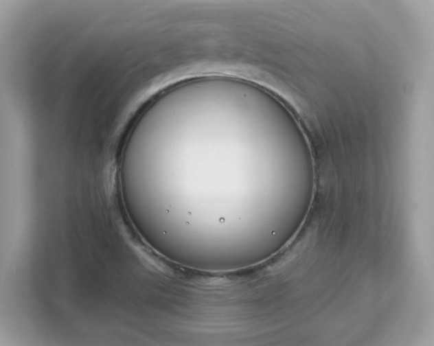 X0000111891507200907301147