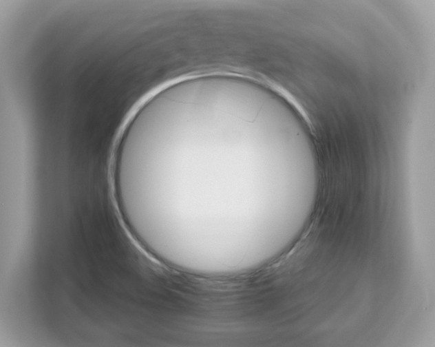 X0000111891508200907301147