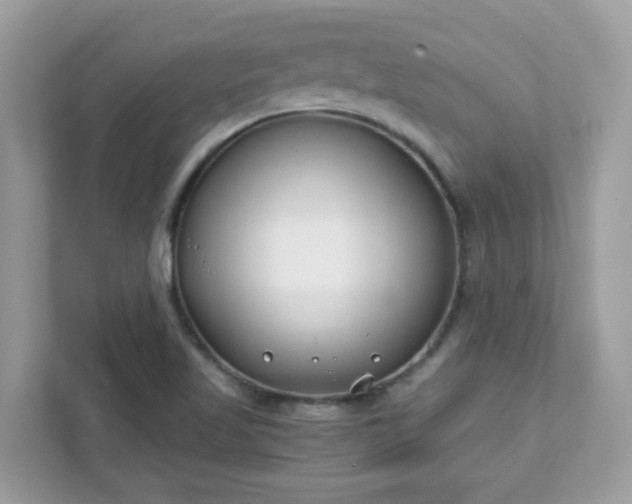 X0000111891509200907301147