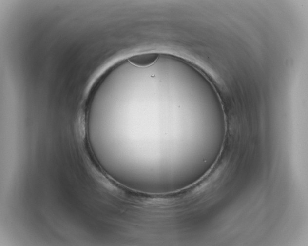 X0000111891510200907301147