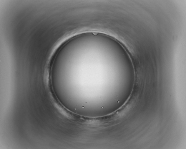 X0000111891511200907301147