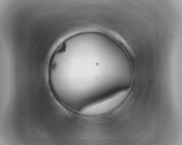 X0000111891512200907301147