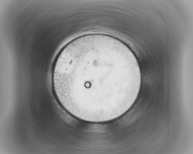 X0000111891514200907301147