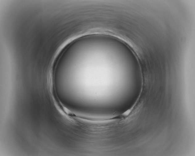 X0000111891515200907301147