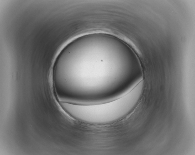 X0000111891516200907301147