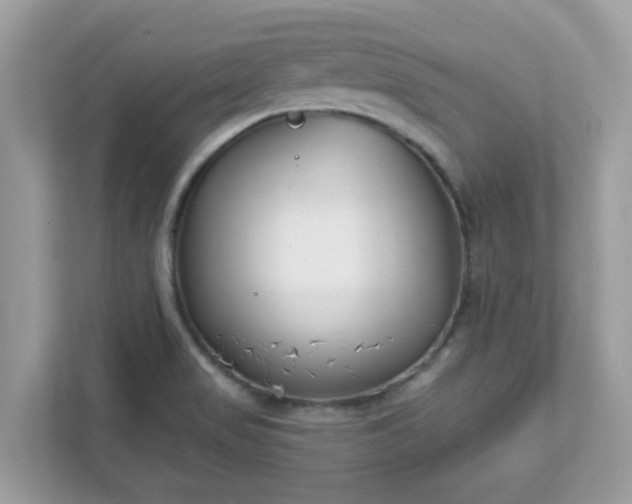 X0000111891517200907301147