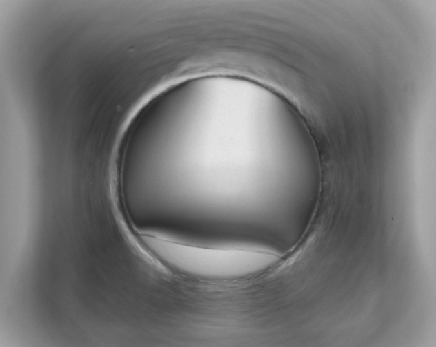 X0000111891518200907301147