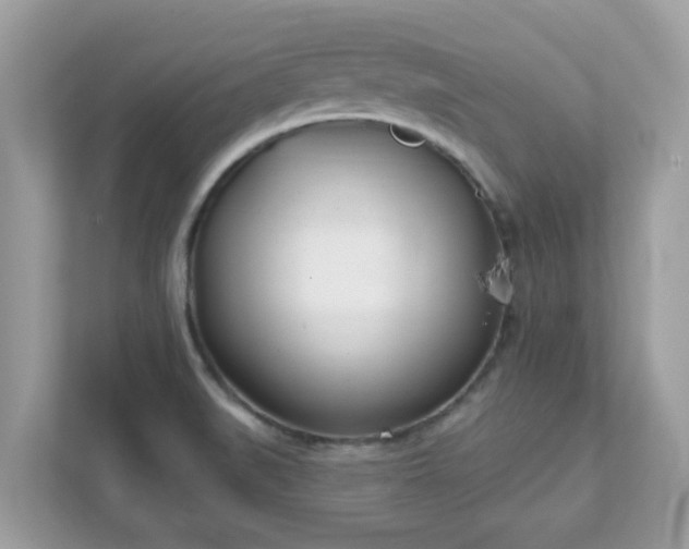 X0000111891519200907301147