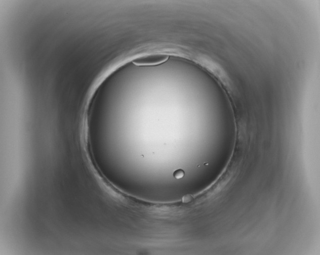 X0000111891520200907301147