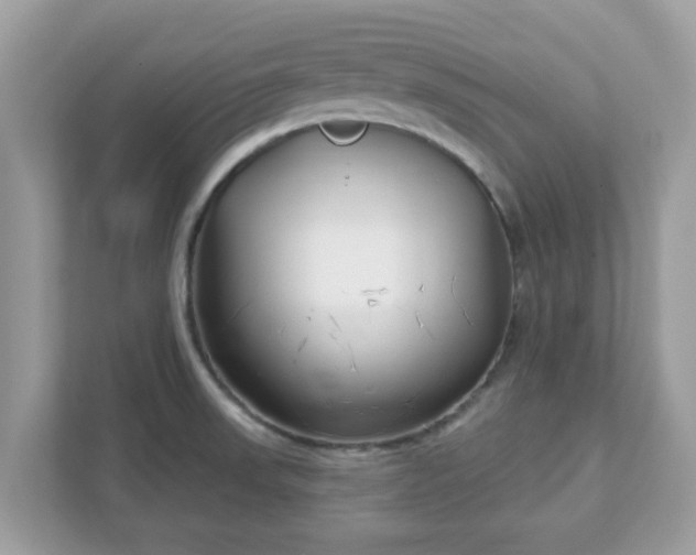 X0000111891523200907301147