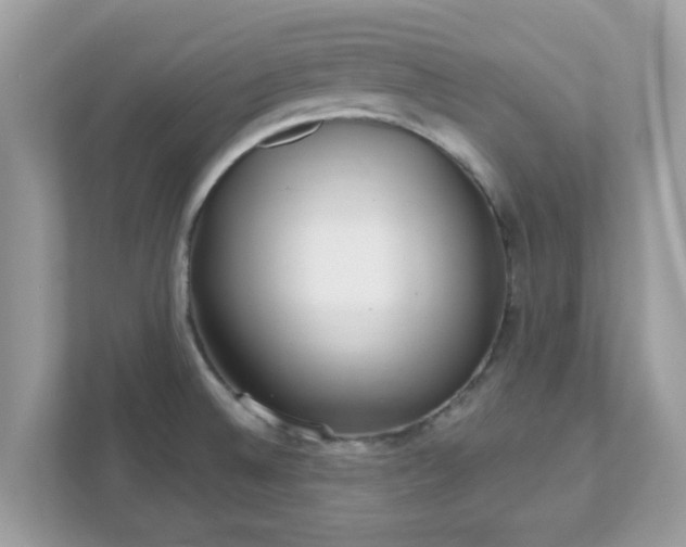 X0000111891524200907301147