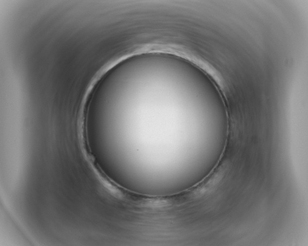 X0000111891525200907301147