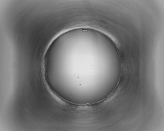 X0000111891526200907301147