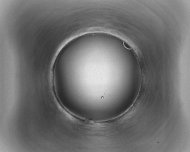 X0000111891527200907301147