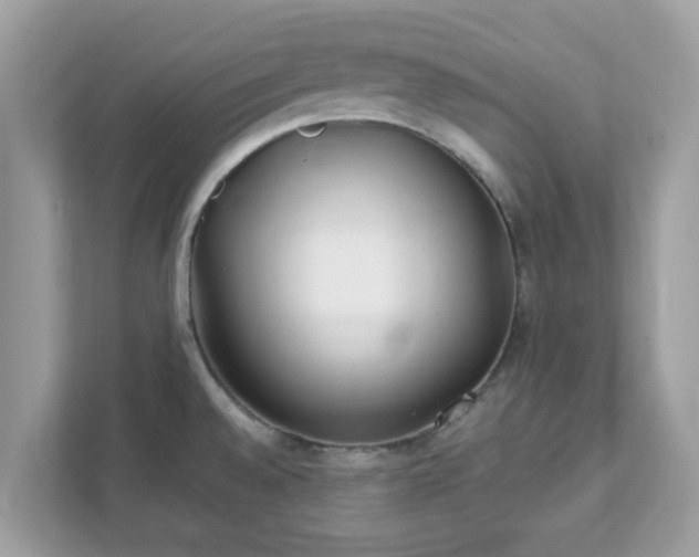 X0000111891528200907301147