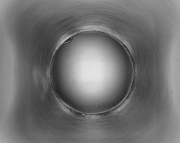 X0000111891529200907301147