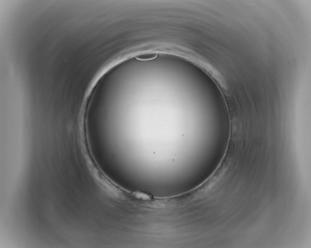 X0000111891530200907301147