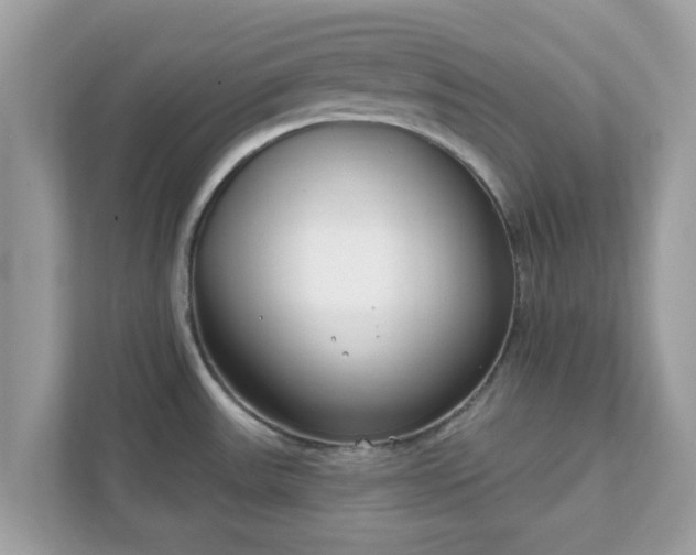 X0000111891531200907301147