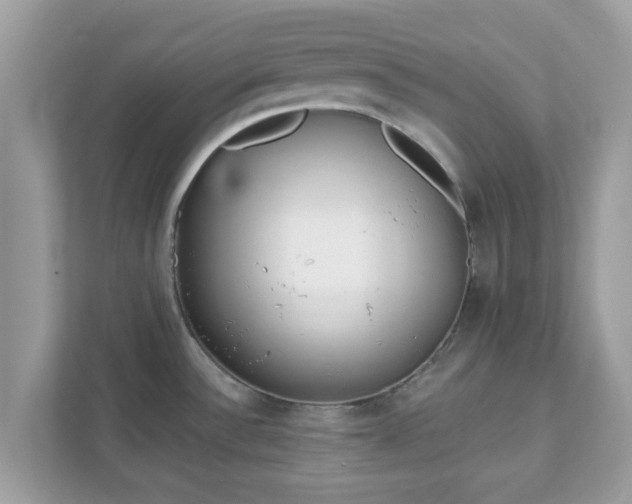 X0000111891532200907301147