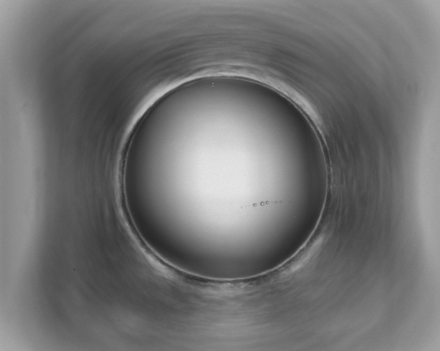 X0000111891533200907301147