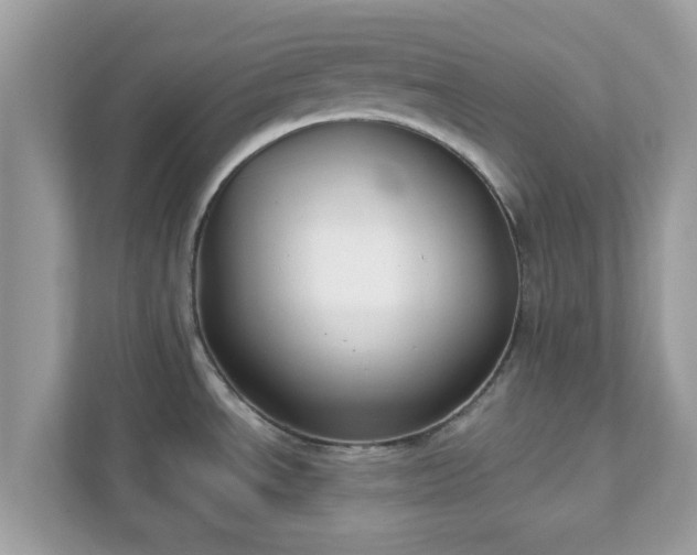 X0000111891534200907301147