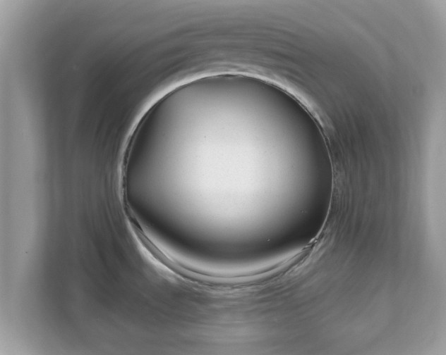 X0000111891535200907301147