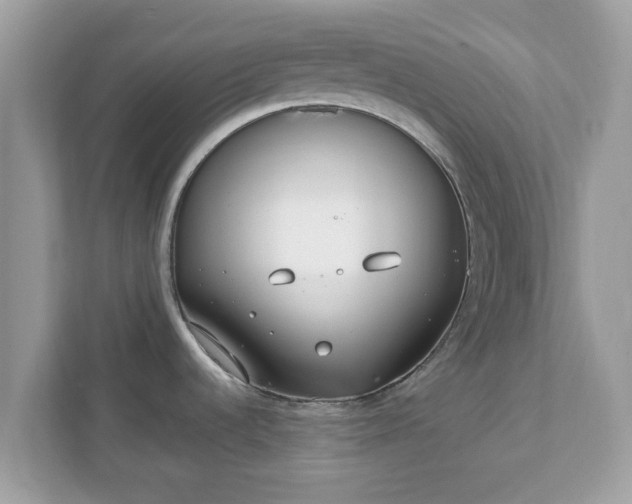 X0000111891536200907301147