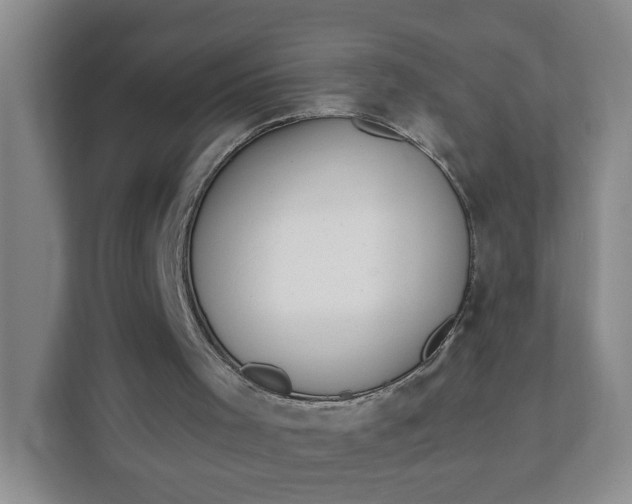 X0000111890001200908061343