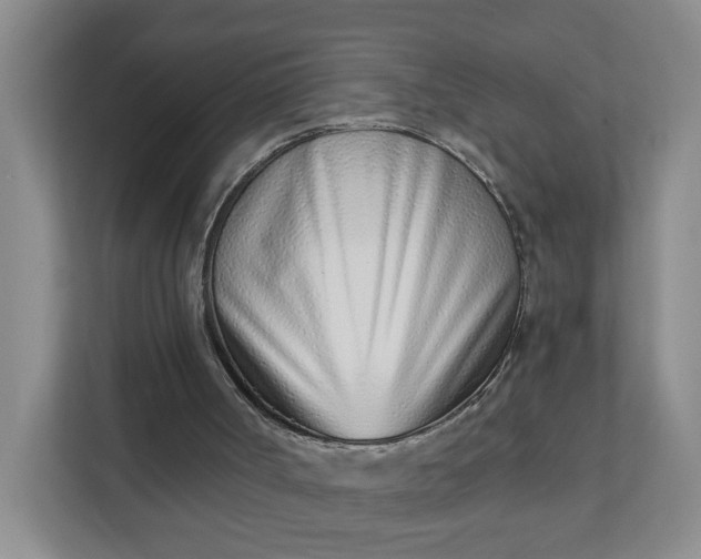 X0000111890002200908061343