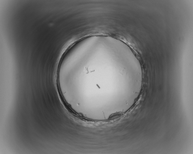 X0000111890003200908061343