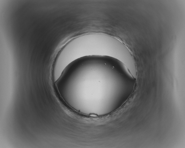 X0000111890005200908061343