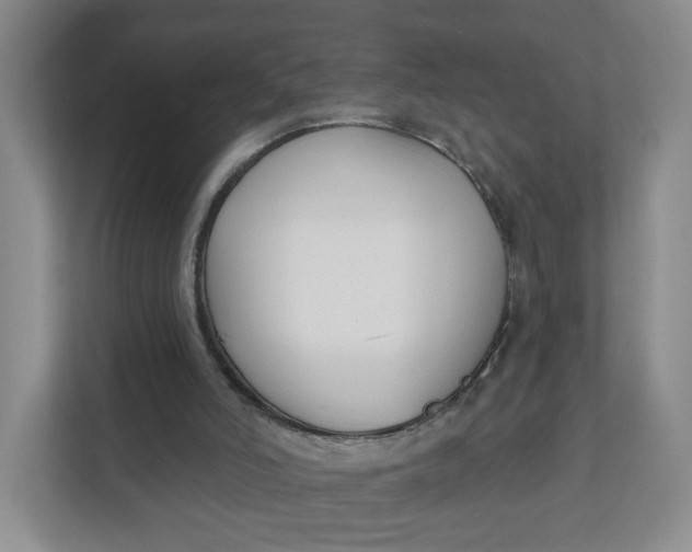 X0000111890006200908061343