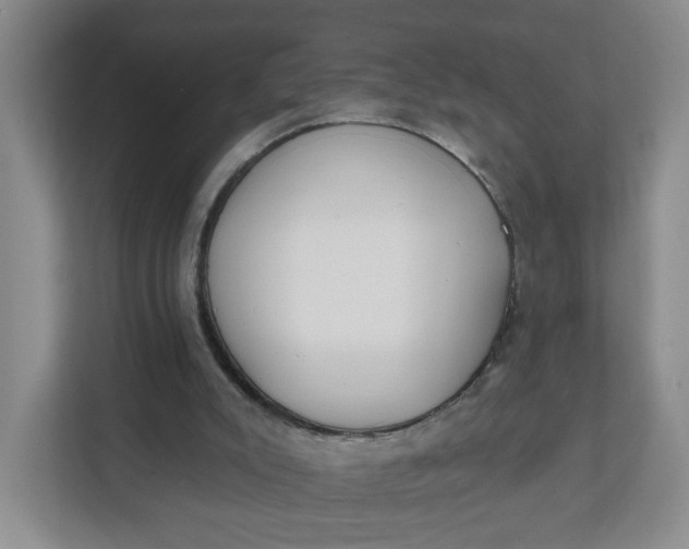 X0000111890007200908061343