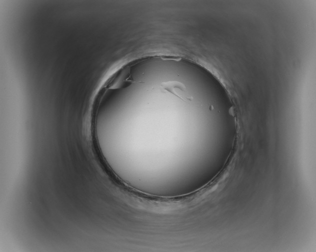 X0000111890008200908061343