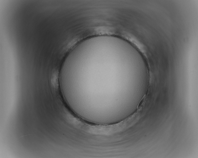 X0000111890009200908061343