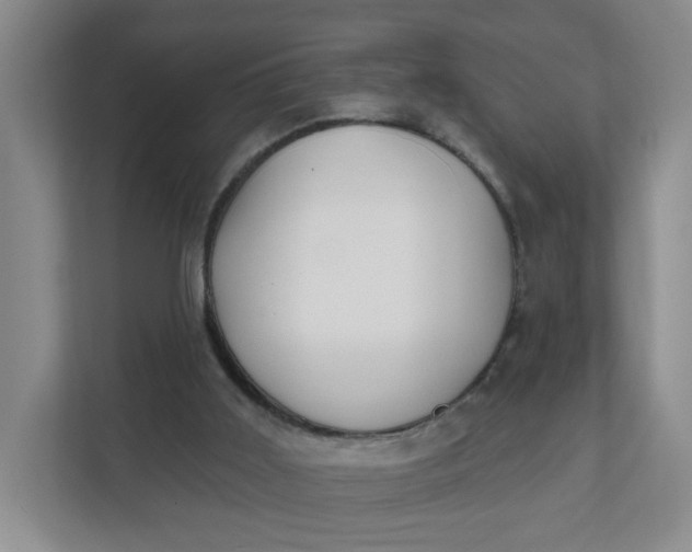 X0000111890011200908061343