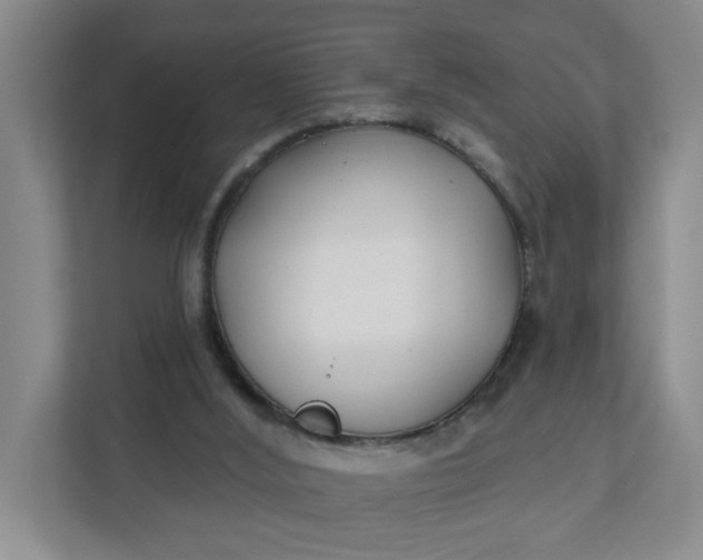 X0000111890012200908061343