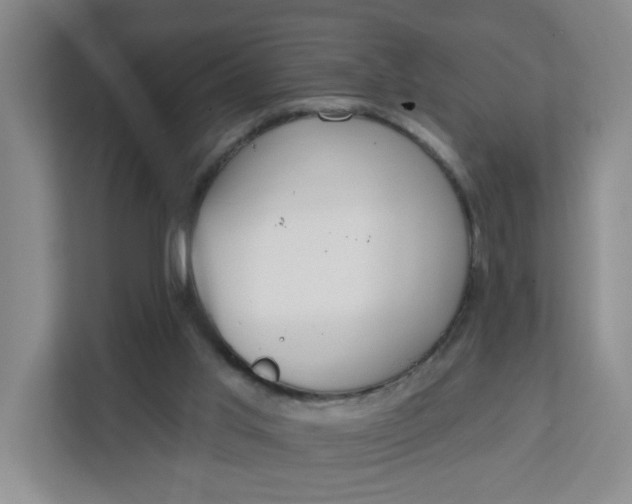 X0000111890013200908061343