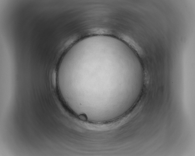 X0000111890014200908061343