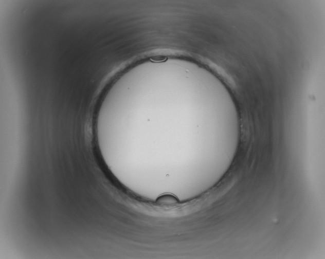 X0000111890015200908061343