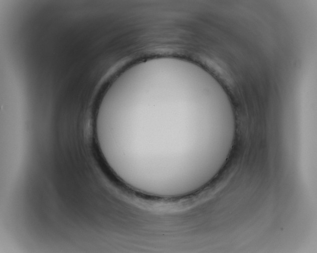 X0000111890016200908061343