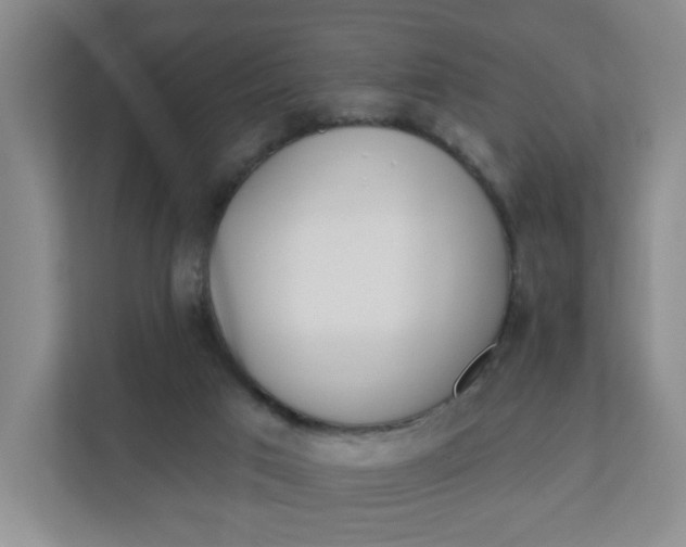 X0000111890017200908061343