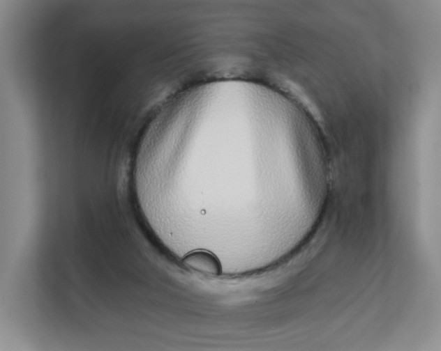 X0000111890018200908061343