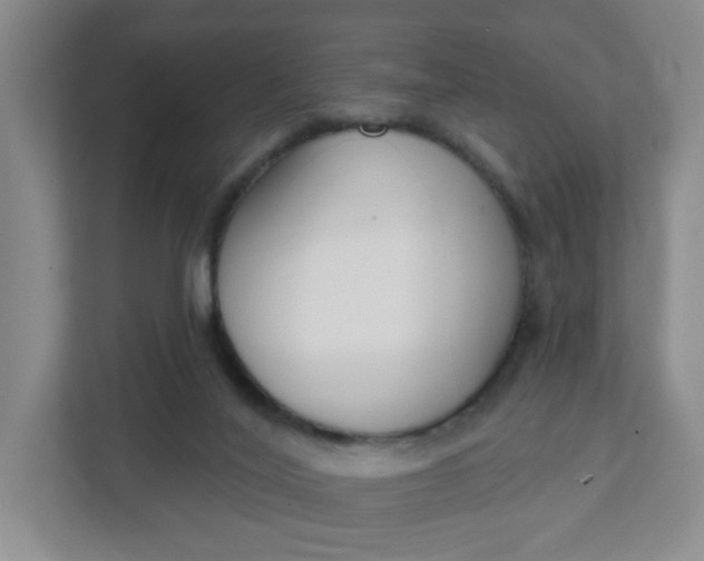 X0000111890020200908061343