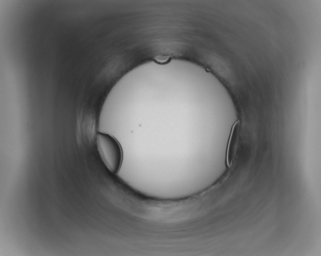 X0000111890021200908061343