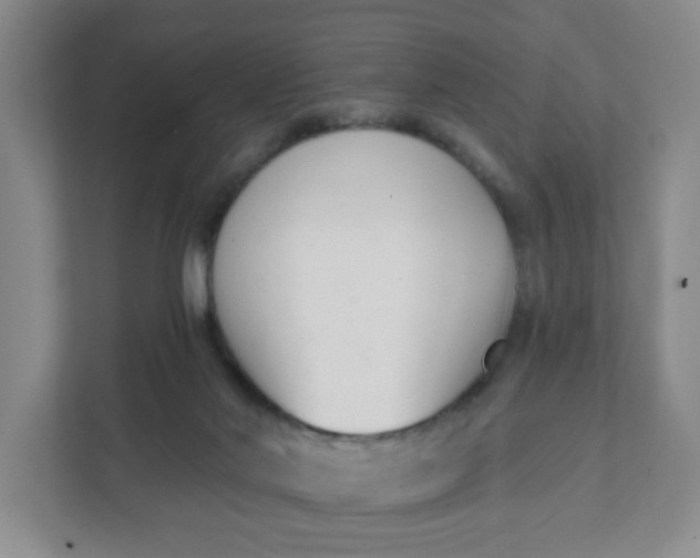 X0000111890022200908061343