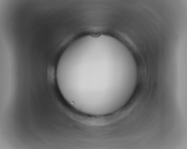 X0000111890024200908061343